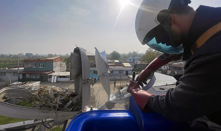 SOKAK LAMBALARI, KUŞLARA YUVA OLDU 